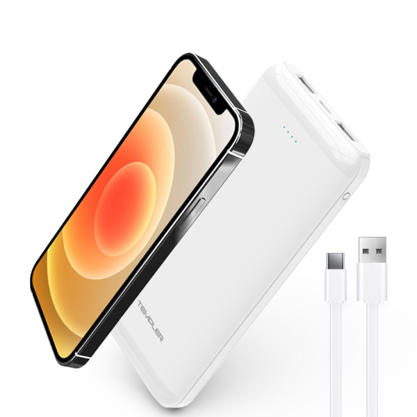 템플러 네오 듀얼 보조배터리 10W 10000mAh